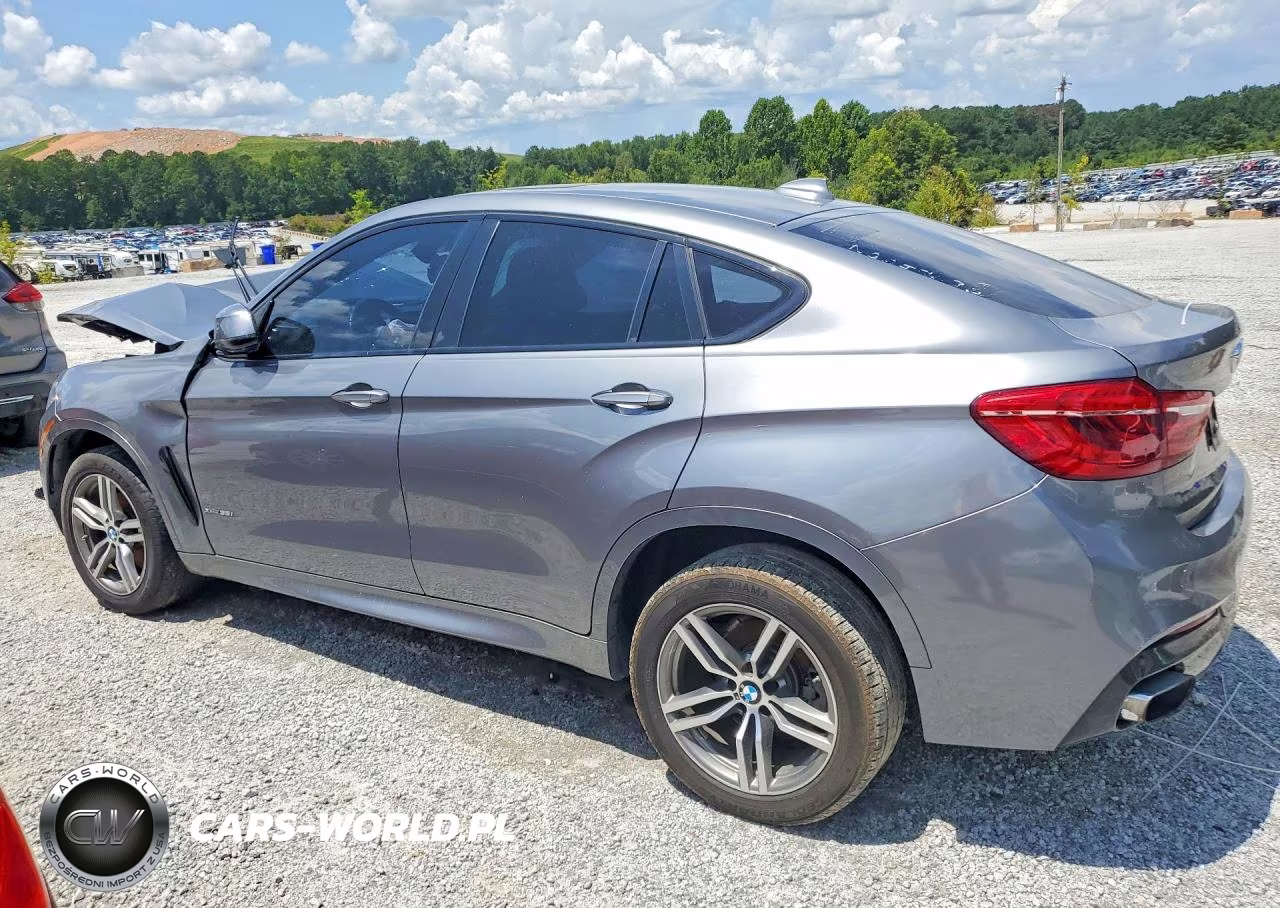 2019 BMW X6 xDrive35I VIN:5UXKU2C59K0Z65425 - 2