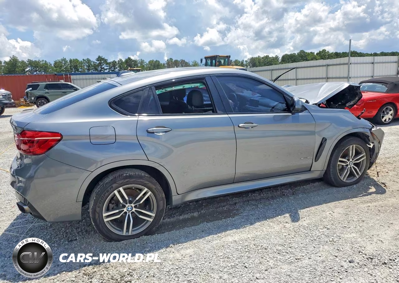2019 BMW X6 xDrive35I VIN:5UXKU2C59K0Z65425 - 3