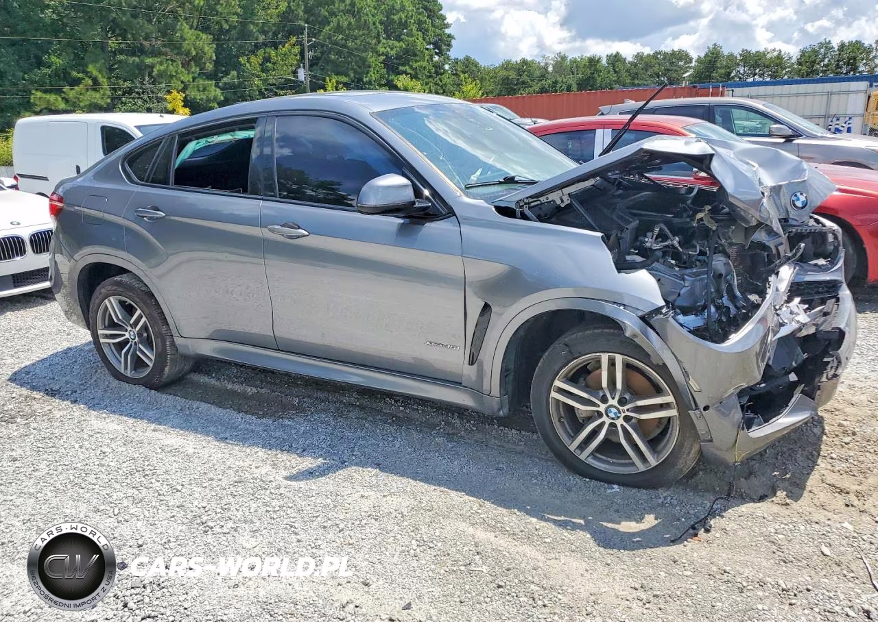 2019 BMW X6 xDrive35I VIN:5UXKU2C59K0Z65425 - 4