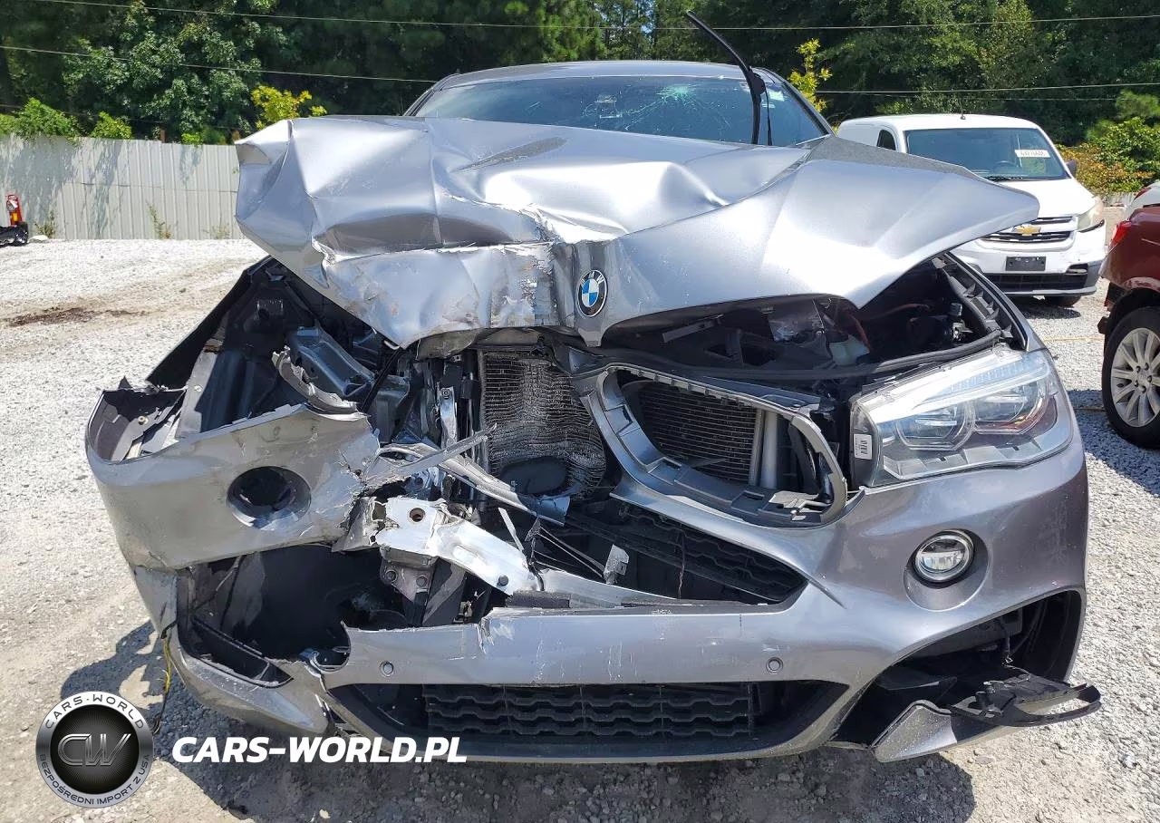 2019 BMW X6 xDrive35I VIN:5UXKU2C59K0Z65425 - 5