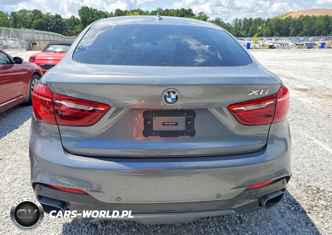 2019 BMW X6 xDrive35I VIN:5UXKU2C59K0Z65425 - 6