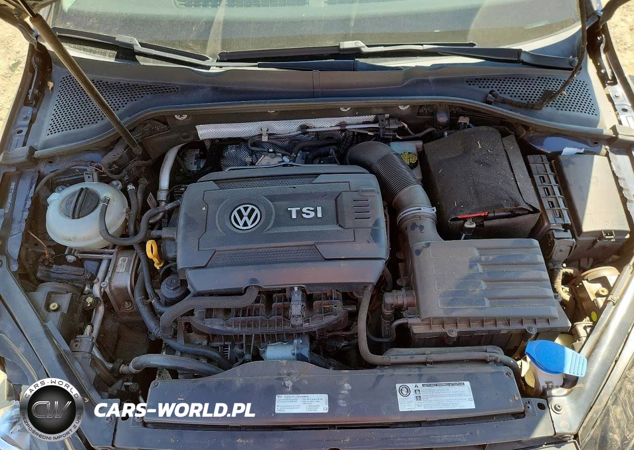 2017 Volkswagen Golf Sportwagen S VIN:3VWC17AU8HM505116 - 11