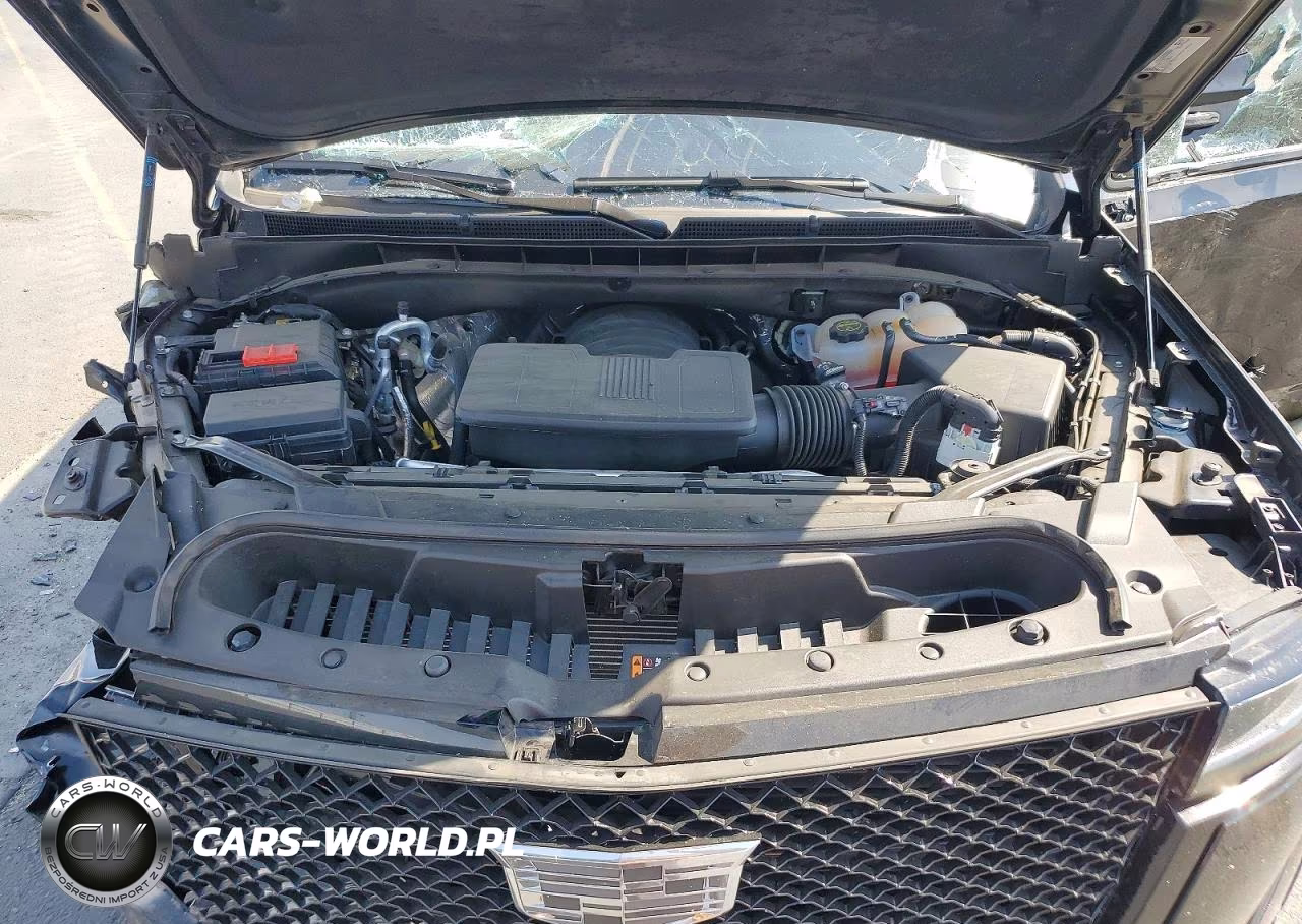 2024 Cadillac Escalade Sport VIN:1GYS4FKL7RR344824 - 12