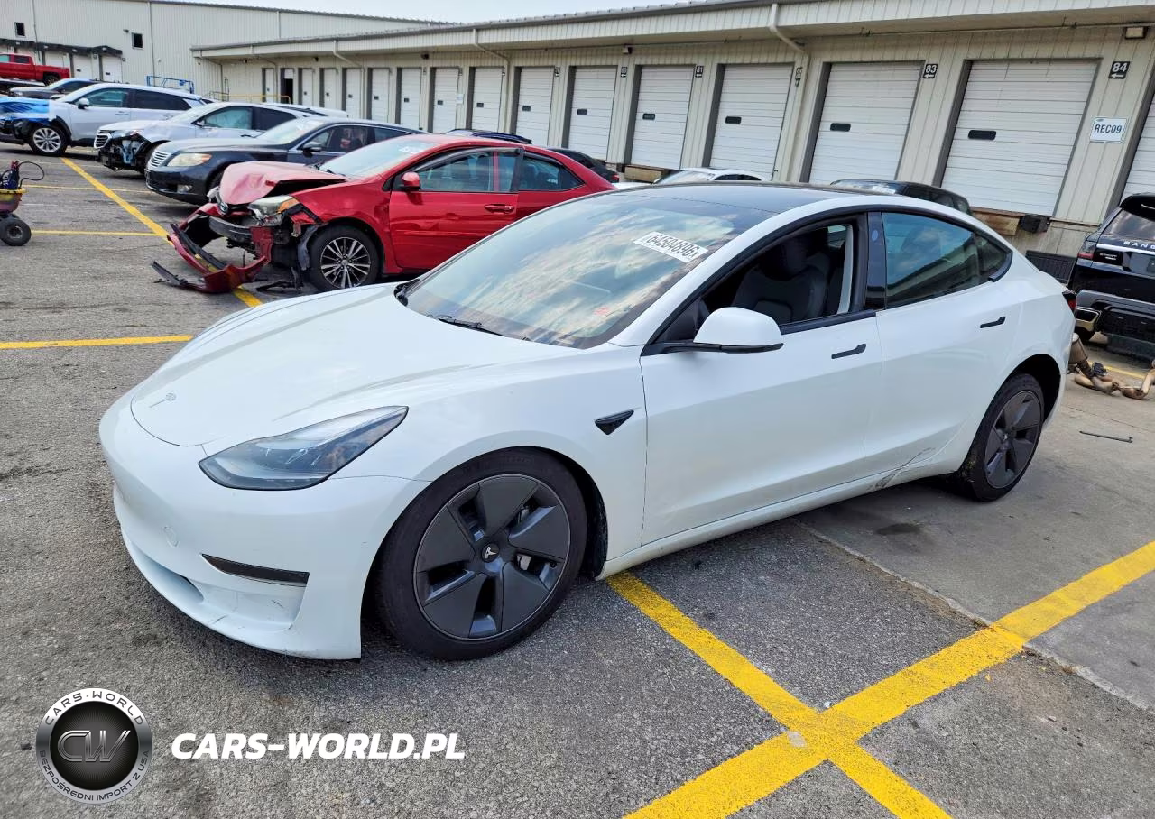 2023 Tesla Model 3 VIN:5YJ3E1EA9PF607550 - 1