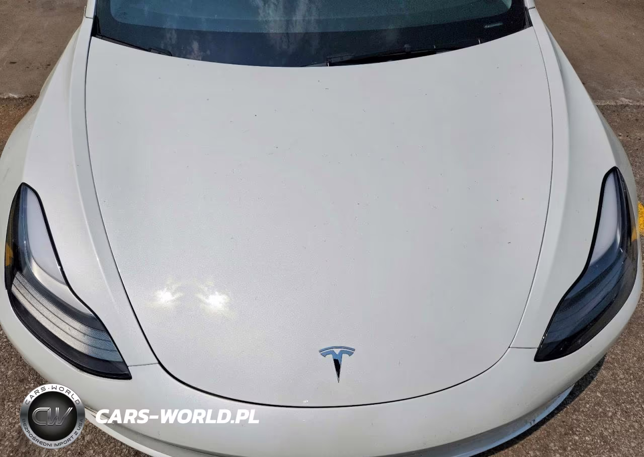 2023 Tesla Model 3 VIN:5YJ3E1EA9PF607550 - 11
