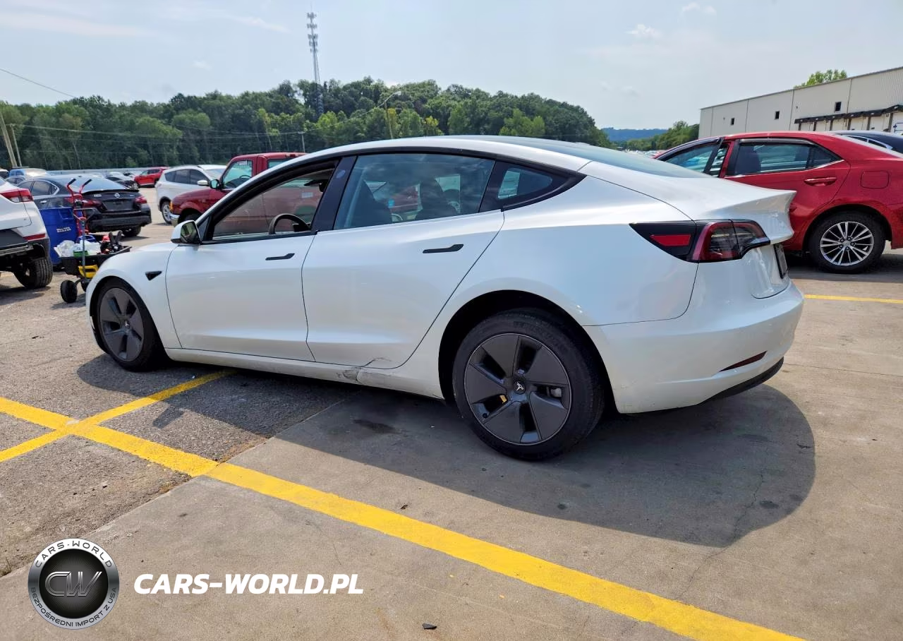 2023 Tesla Model 3 VIN:5YJ3E1EA9PF607550 - 2