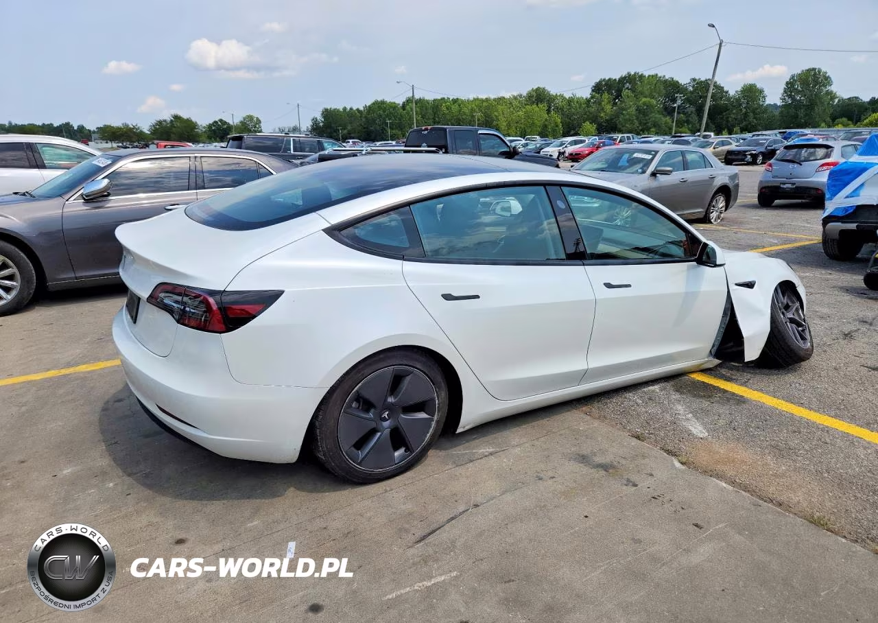 2023 Tesla Model 3 VIN:5YJ3E1EA9PF607550 - 3