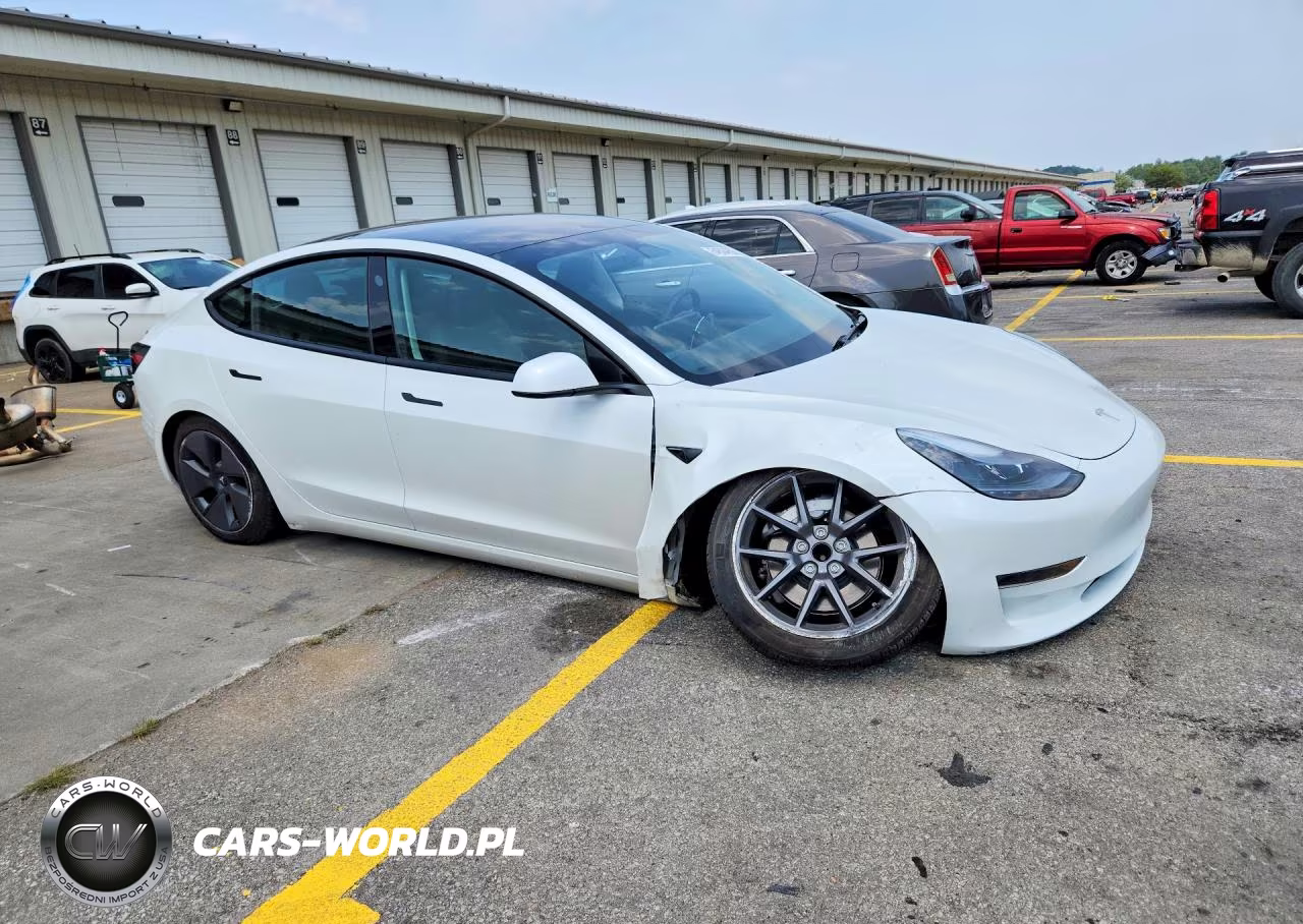 2023 Tesla Model 3 VIN:5YJ3E1EA9PF607550 - 4