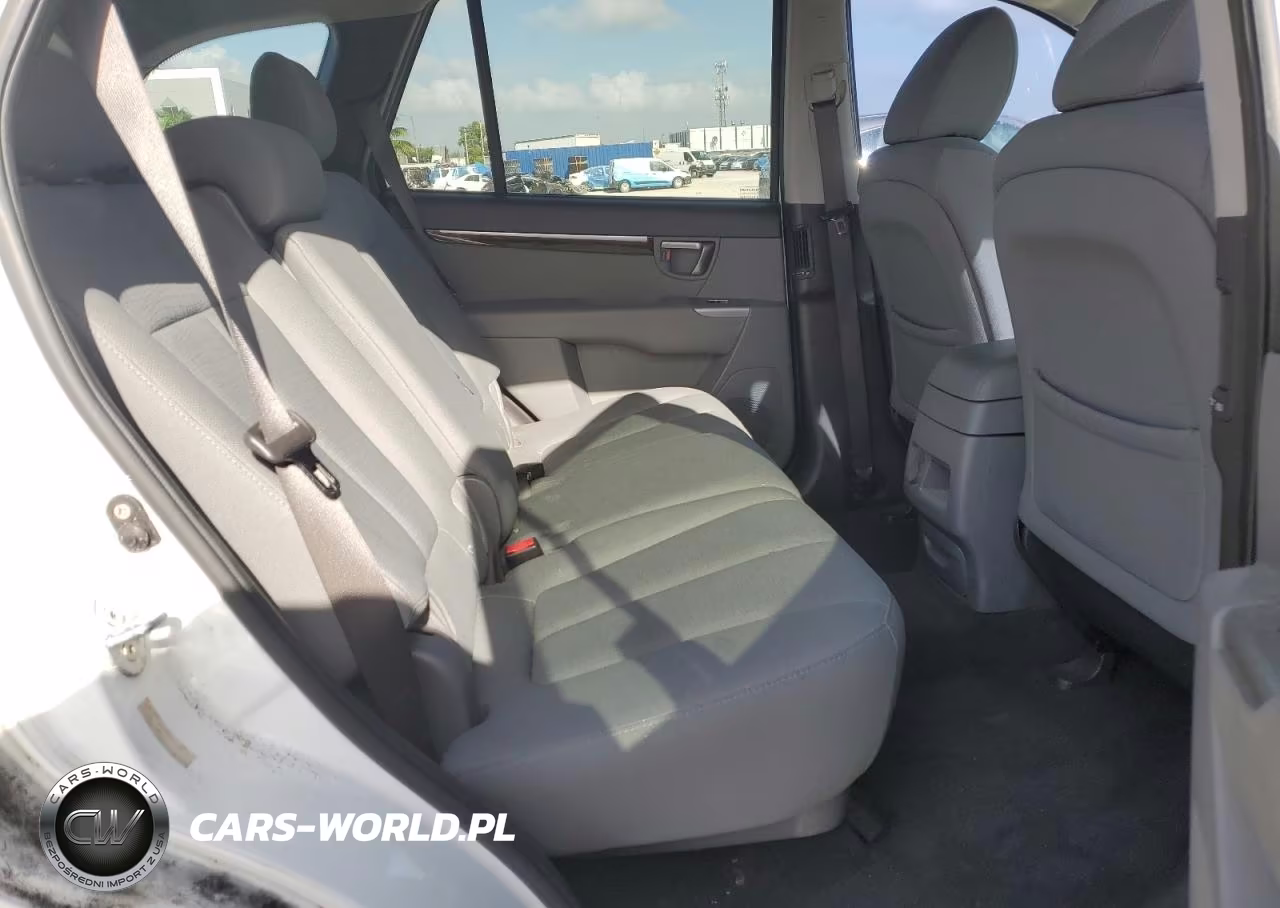 2010 Hyundai Santa Fe Gls VIN:5NMSG3AB3AH385335 - 10