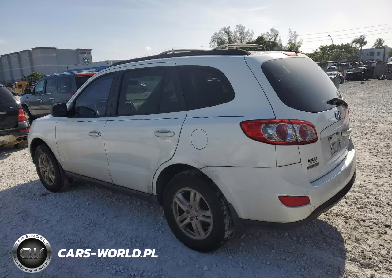 2010 Hyundai Santa Fe Gls VIN:5NMSG3AB3AH385335 - 2