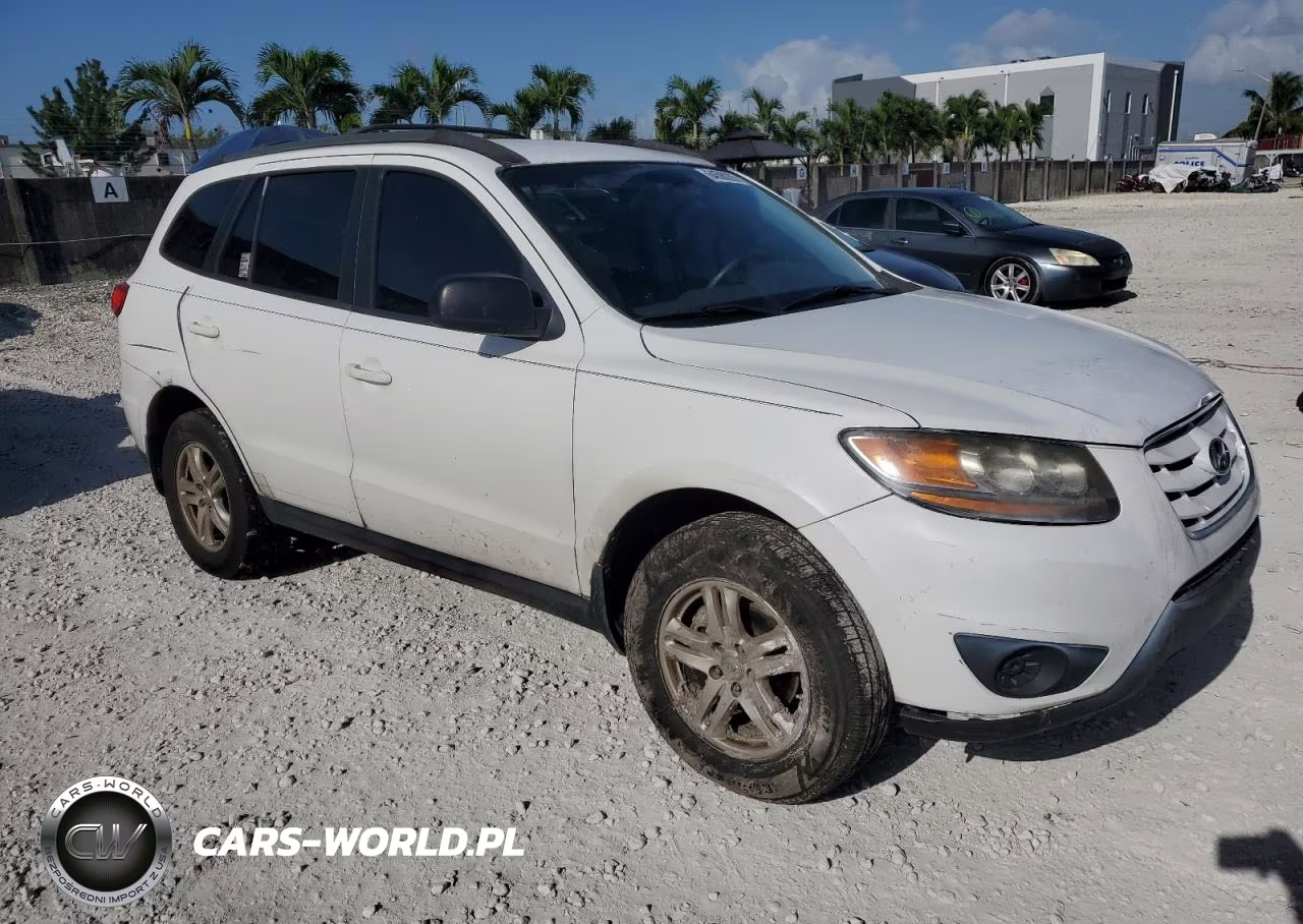 2010 Hyundai Santa Fe Gls VIN:5NMSG3AB3AH385335 - 4