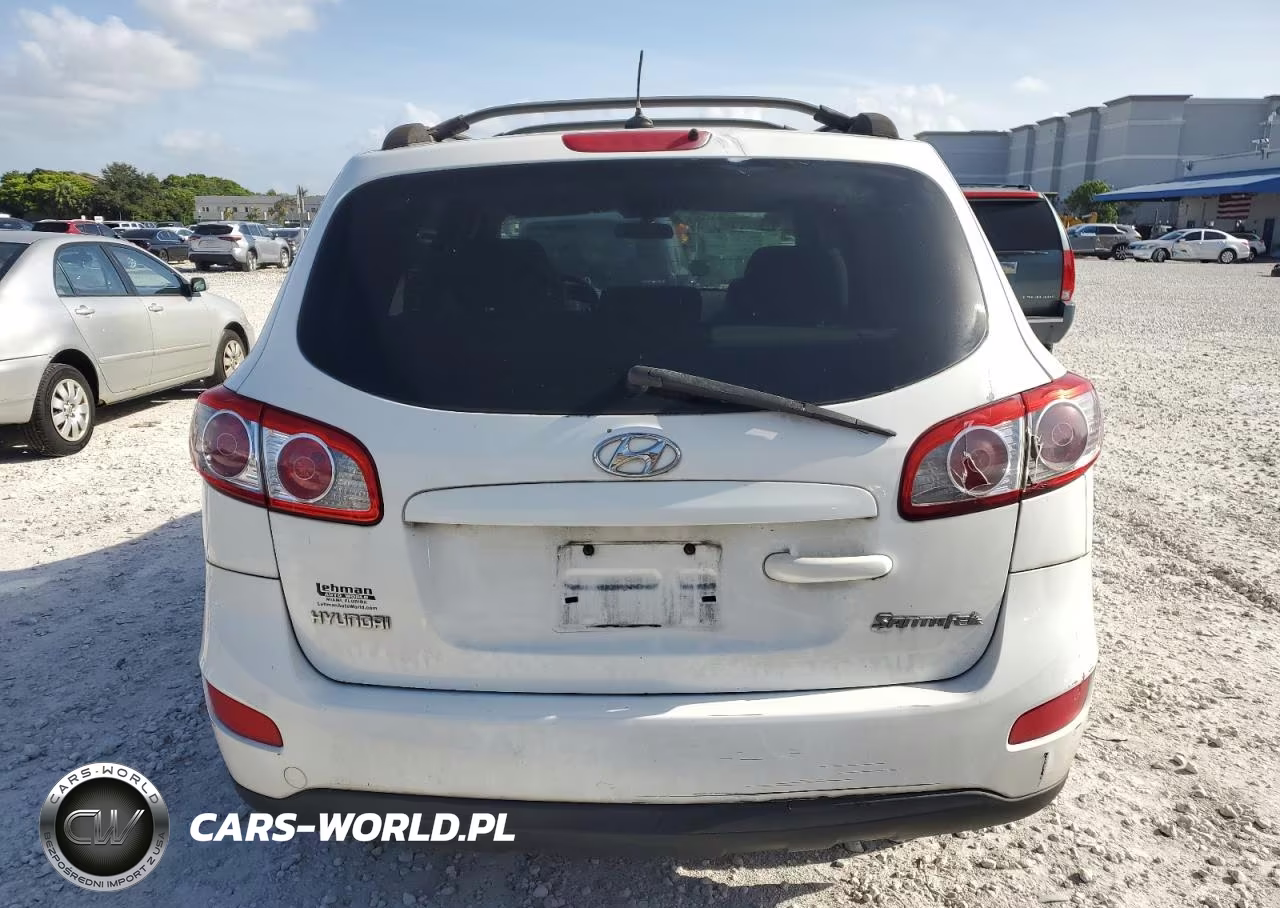 2010 Hyundai Santa Fe Gls VIN:5NMSG3AB3AH385335 - 6
