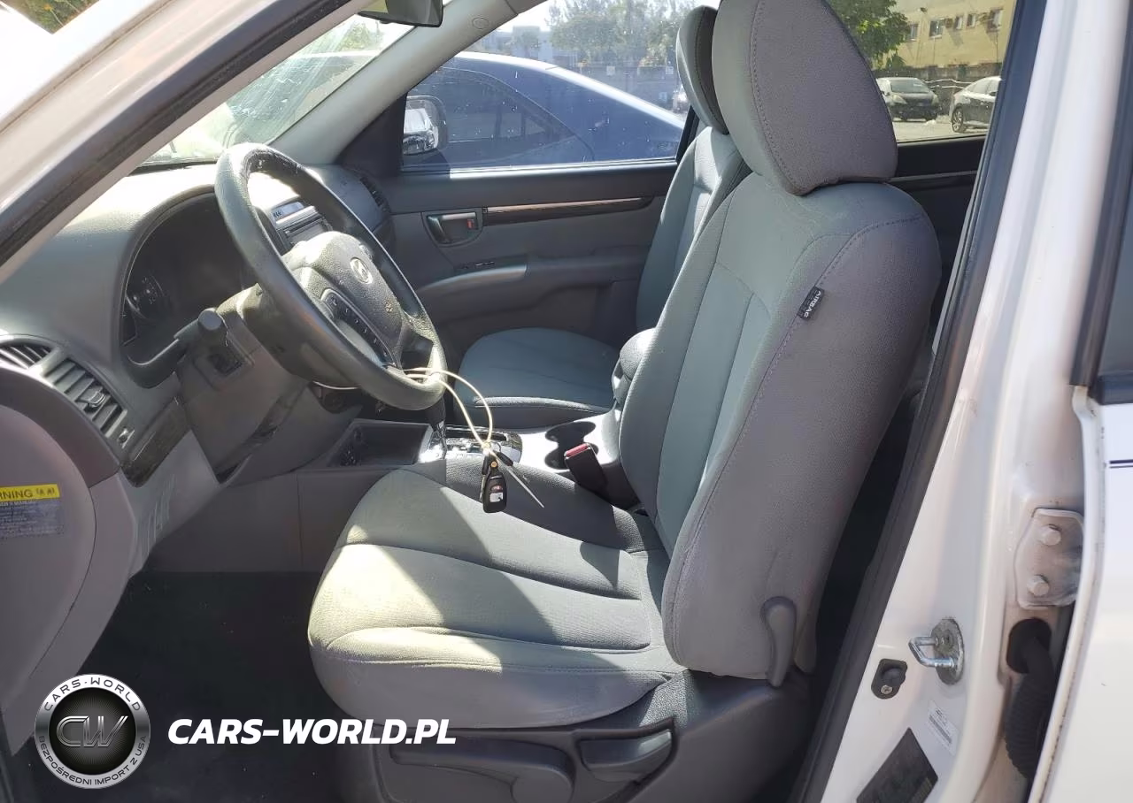 2010 Hyundai Santa Fe Gls VIN:5NMSG3AB3AH385335 - 7