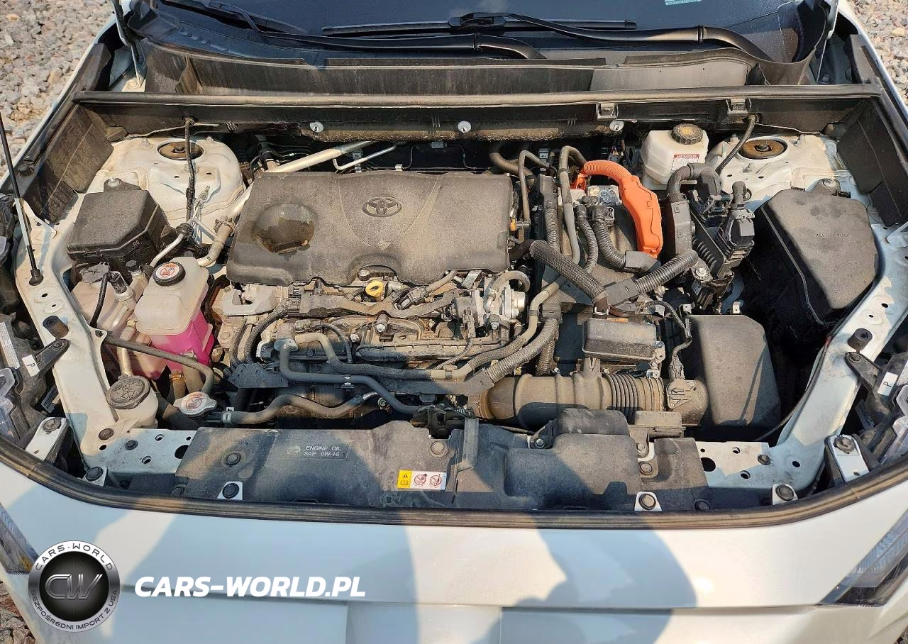 2024 Toyota Rav4 Xse VIN:2T3E6RFV8RW059768 - 12