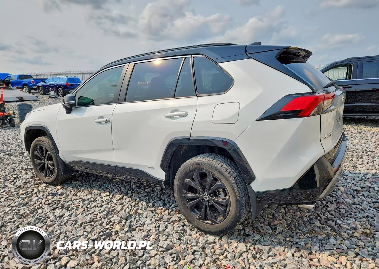 2024 Toyota Rav4 Xse VIN:2T3E6RFV8RW059768 - 2