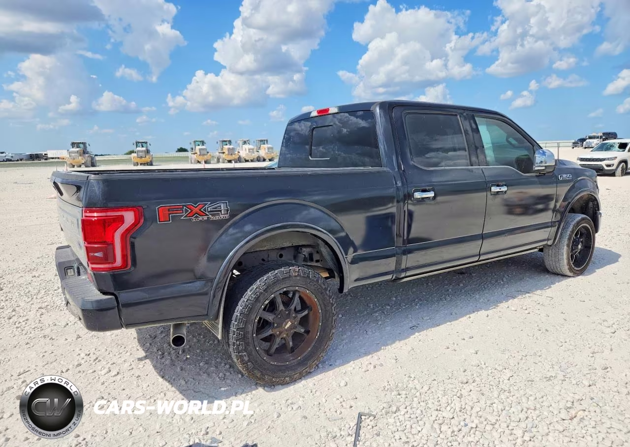 2015 Ford F150 Supercrew VIN:1FTFW1EG4FFC16993 - 3