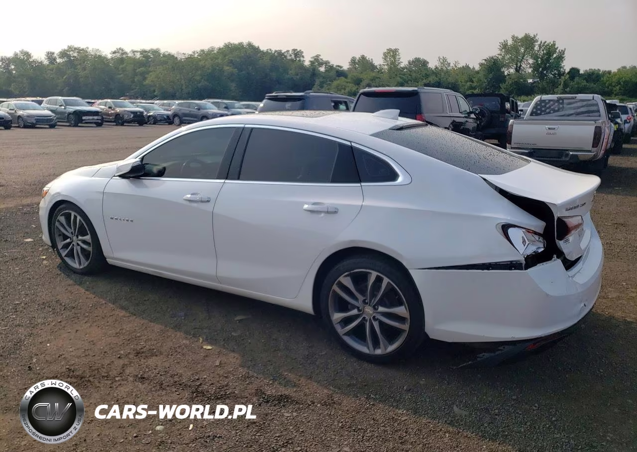 2020 Chevrolet Malibu Premier VIN:1G1ZE5SX4LF094197 - 2