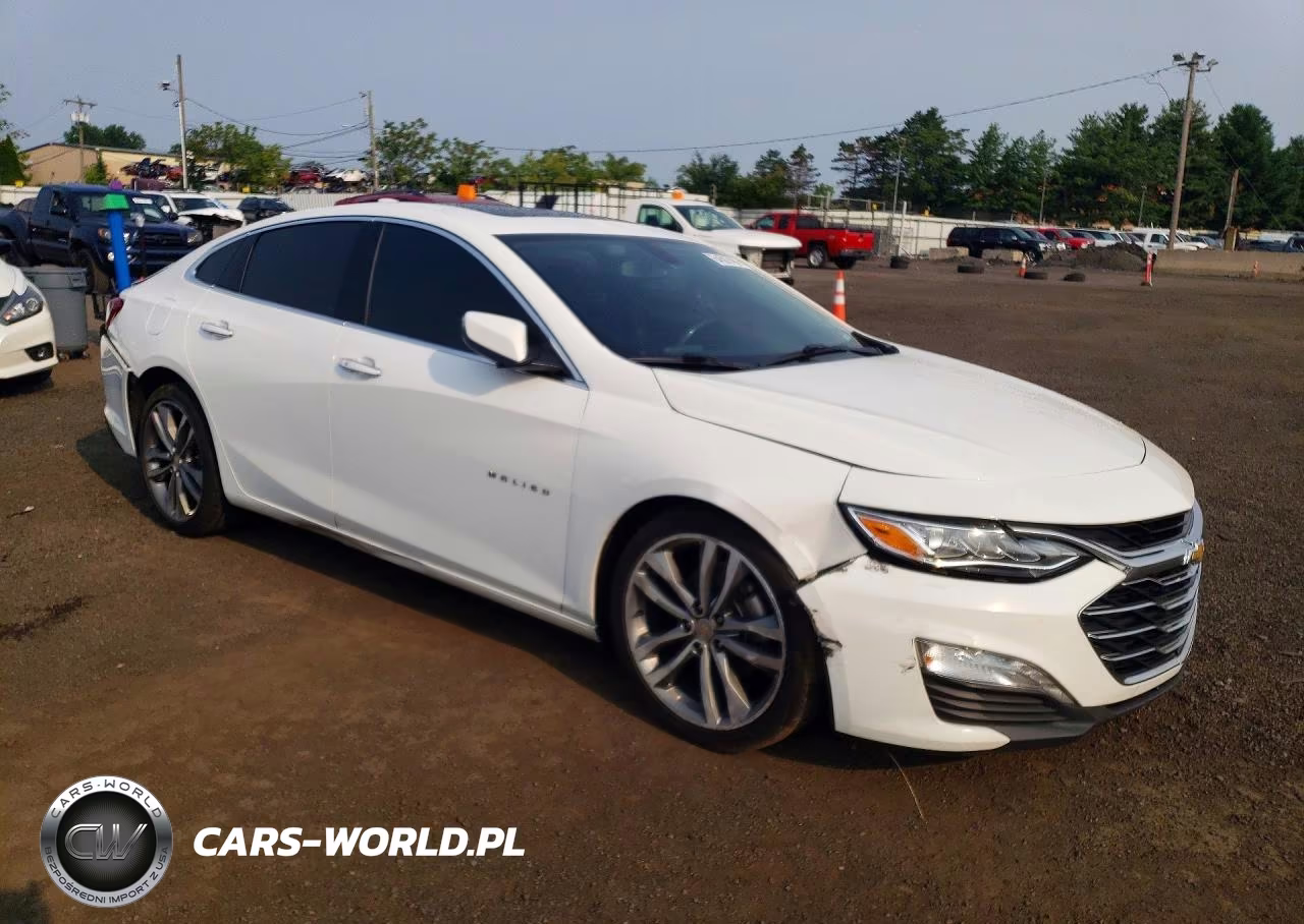 2020 Chevrolet Malibu Premier VIN:1G1ZE5SX4LF094197 - 4