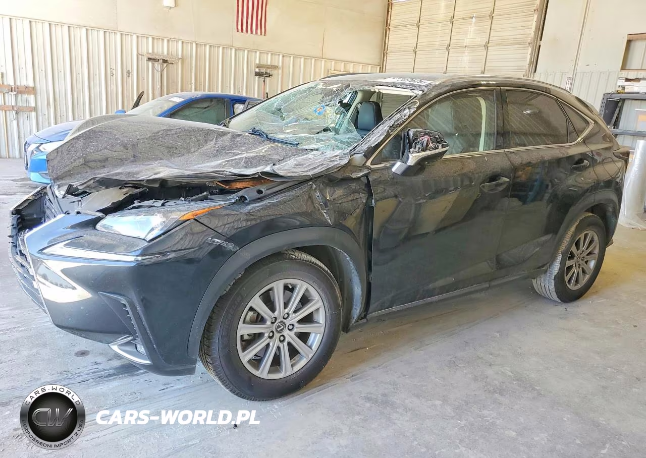 2021 Lexus Nx 300 Base VIN:JTJDARBZXM5035617 - 1