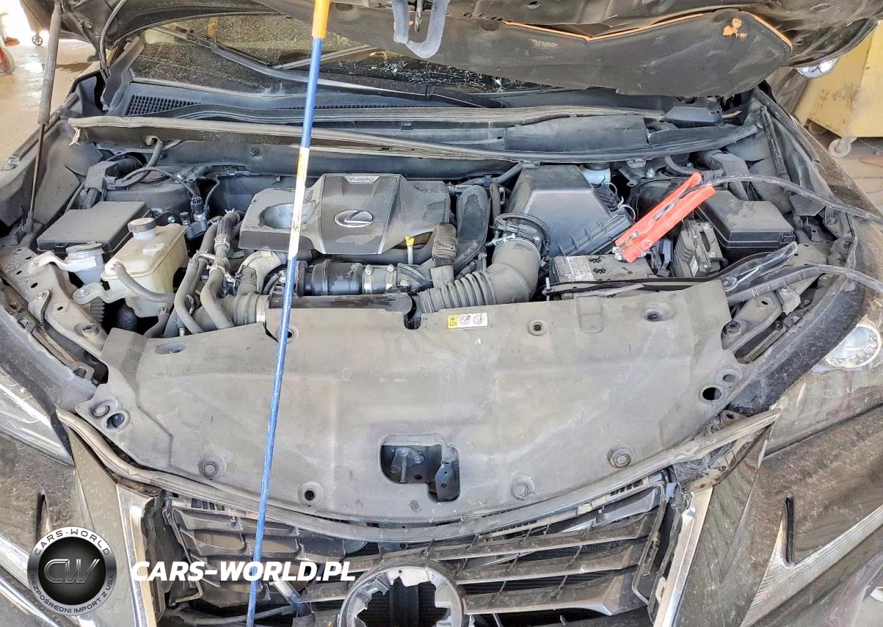 2021 Lexus Nx 300 Base VIN:JTJDARBZXM5035617 - 12