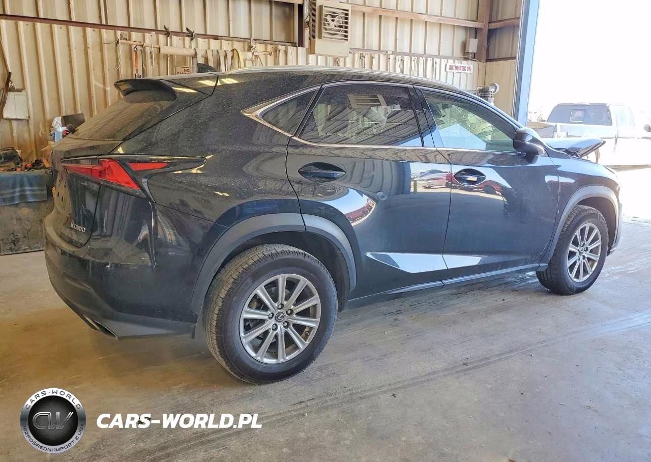 2021 Lexus Nx 300 Base VIN:JTJDARBZXM5035617 - 3