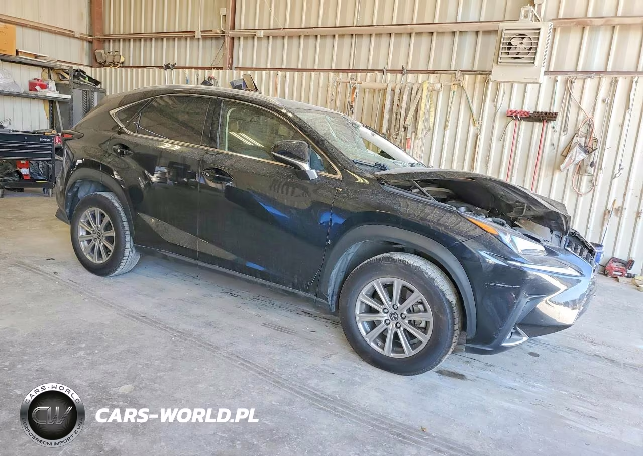 2021 Lexus Nx 300 Base VIN:JTJDARBZXM5035617 - 4