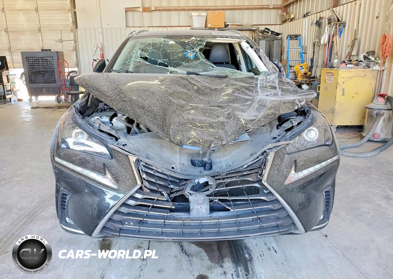 2021 Lexus Nx 300 Base VIN:JTJDARBZXM5035617 - 5