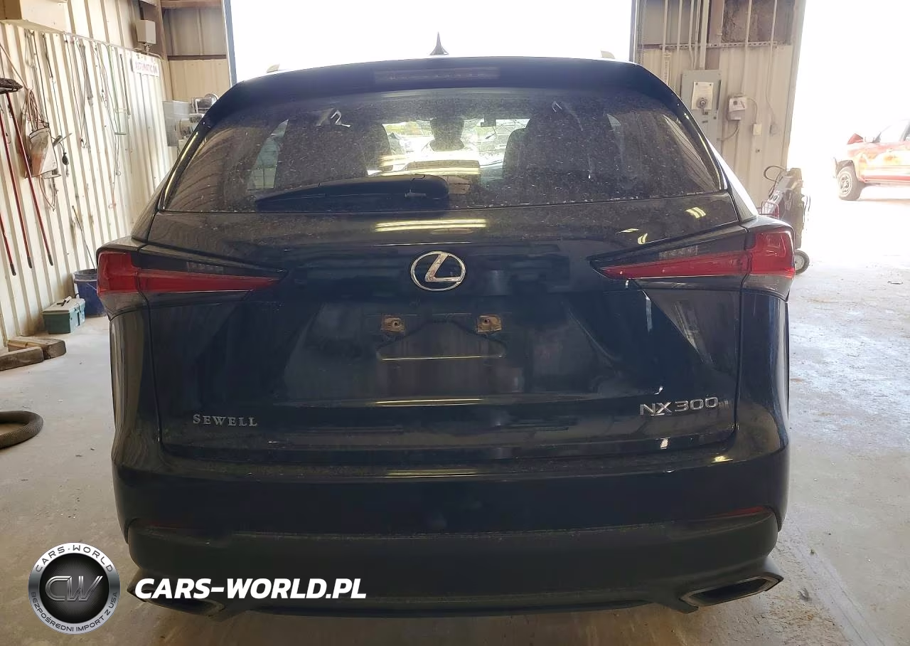 2021 Lexus Nx 300 Base VIN:JTJDARBZXM5035617 - 6
