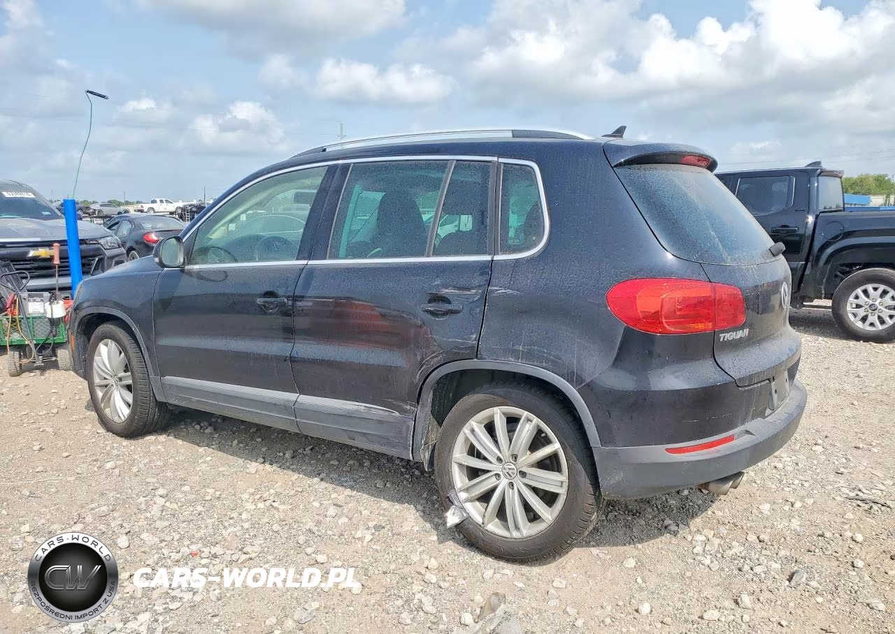 2014 Volkswagen Tiguan S VIN:WVGAV3AX7EW548953 - 2