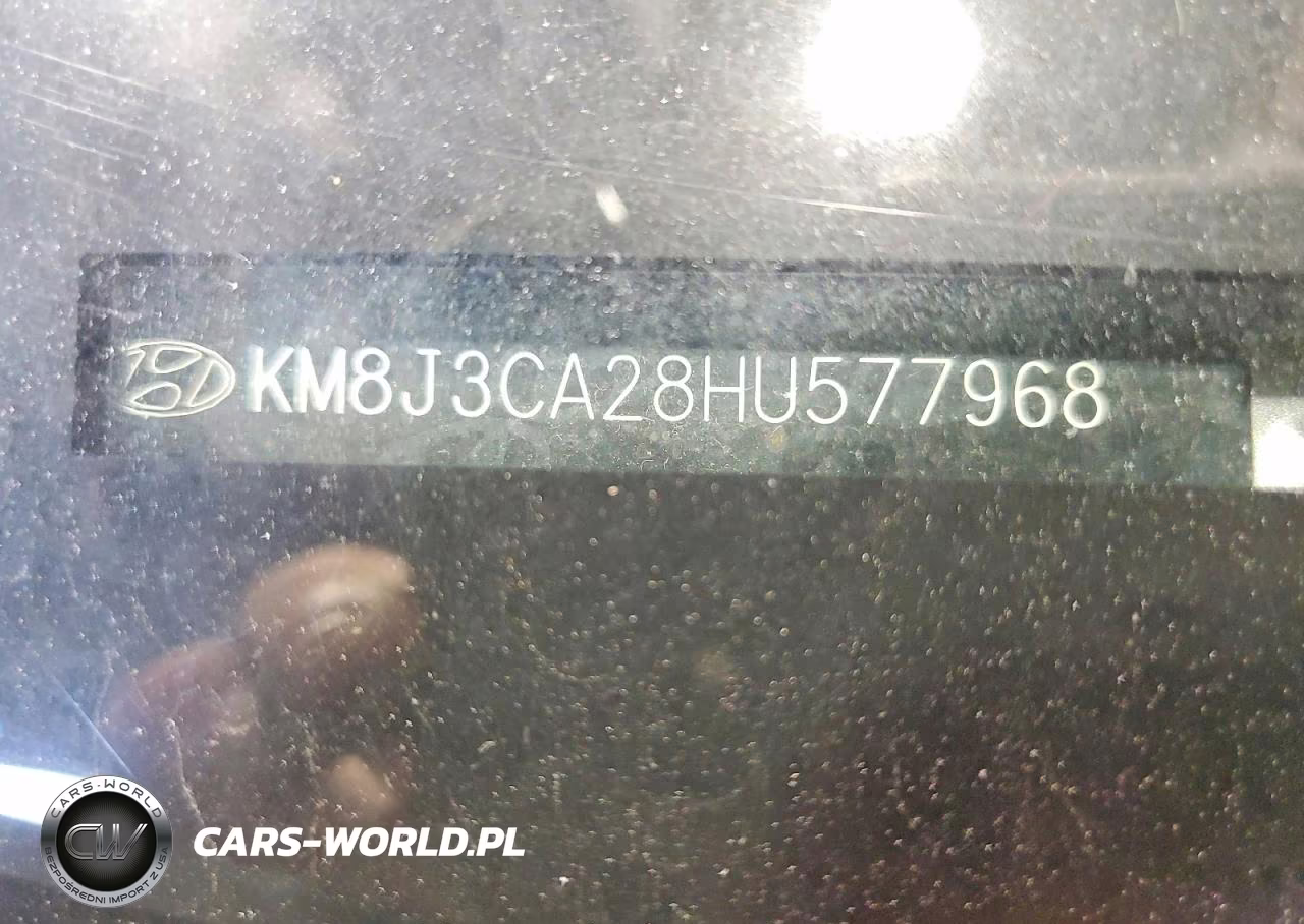 2017 Hyundai Tucson Eco VIN:KM8J3CA28HU577968 - 13