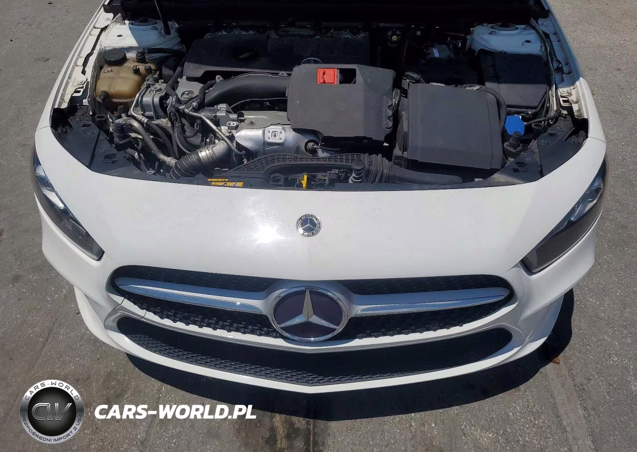 2019 Mercedes-Benz A 220 VIN:WDD3G4EB9KW026225 - 11