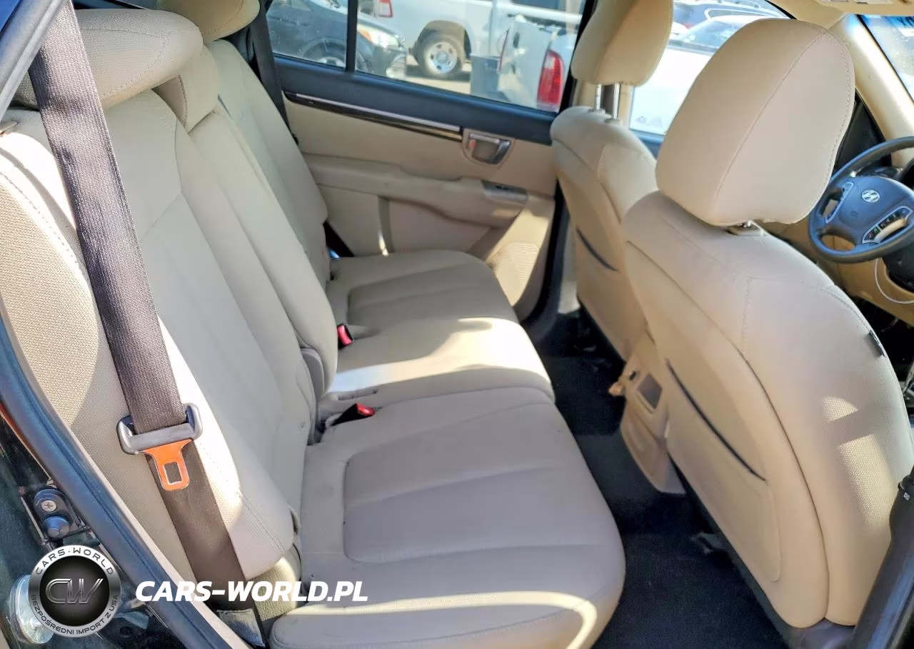 2010 Hyundai Santa Fe Gls VIN:5NMSG3AB3AH396688 - 11