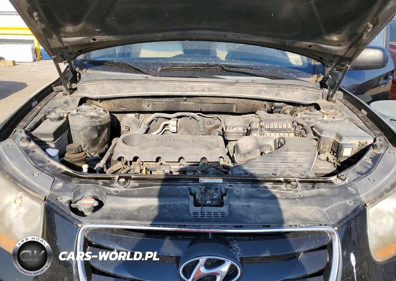 2010 Hyundai Santa Fe Gls VIN:5NMSG3AB3AH396688 - 12