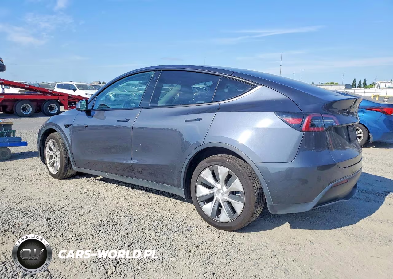 2022 Tesla Model Y VIN:7SAYGDEE3NF328504 - 2