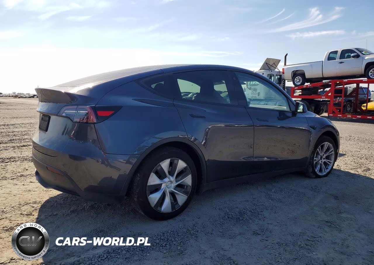 2022 Tesla Model Y VIN:7SAYGDEE3NF328504 - 3