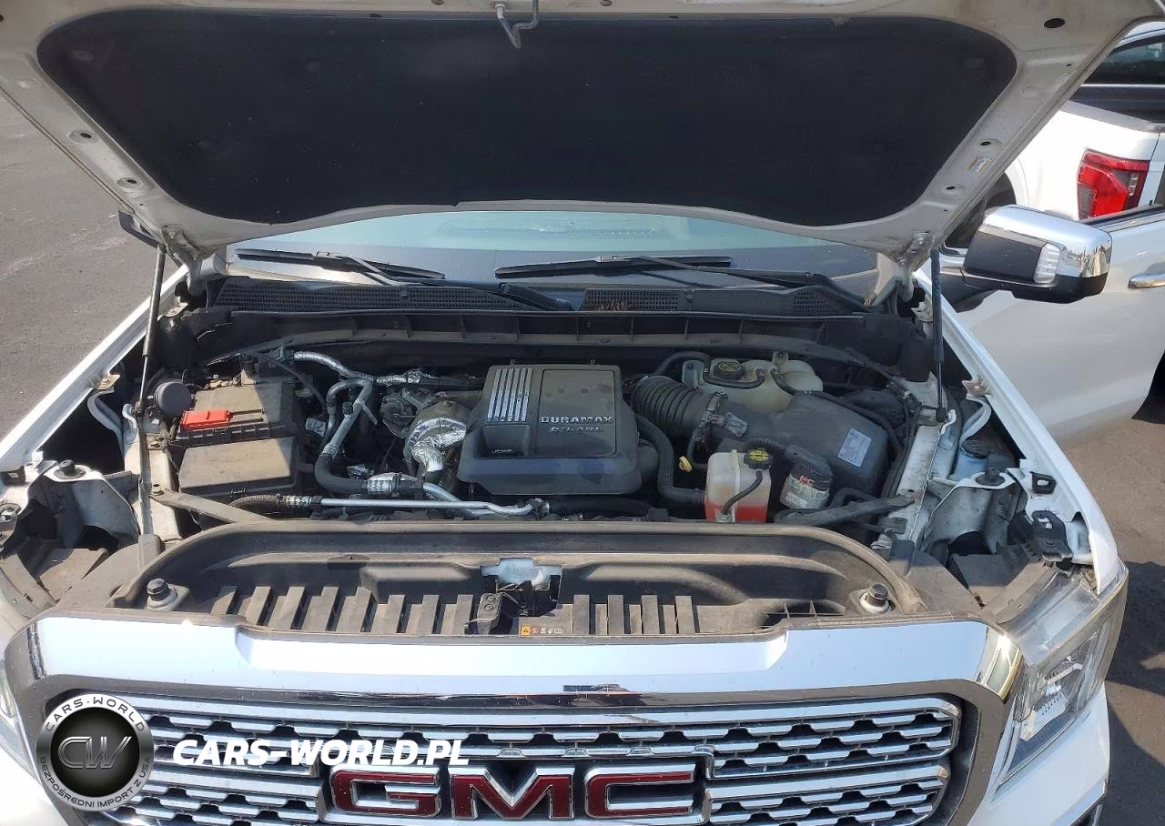 2021 GMC Sierra K1500 Denali VIN:3GTU9FET1MG219001 - 11