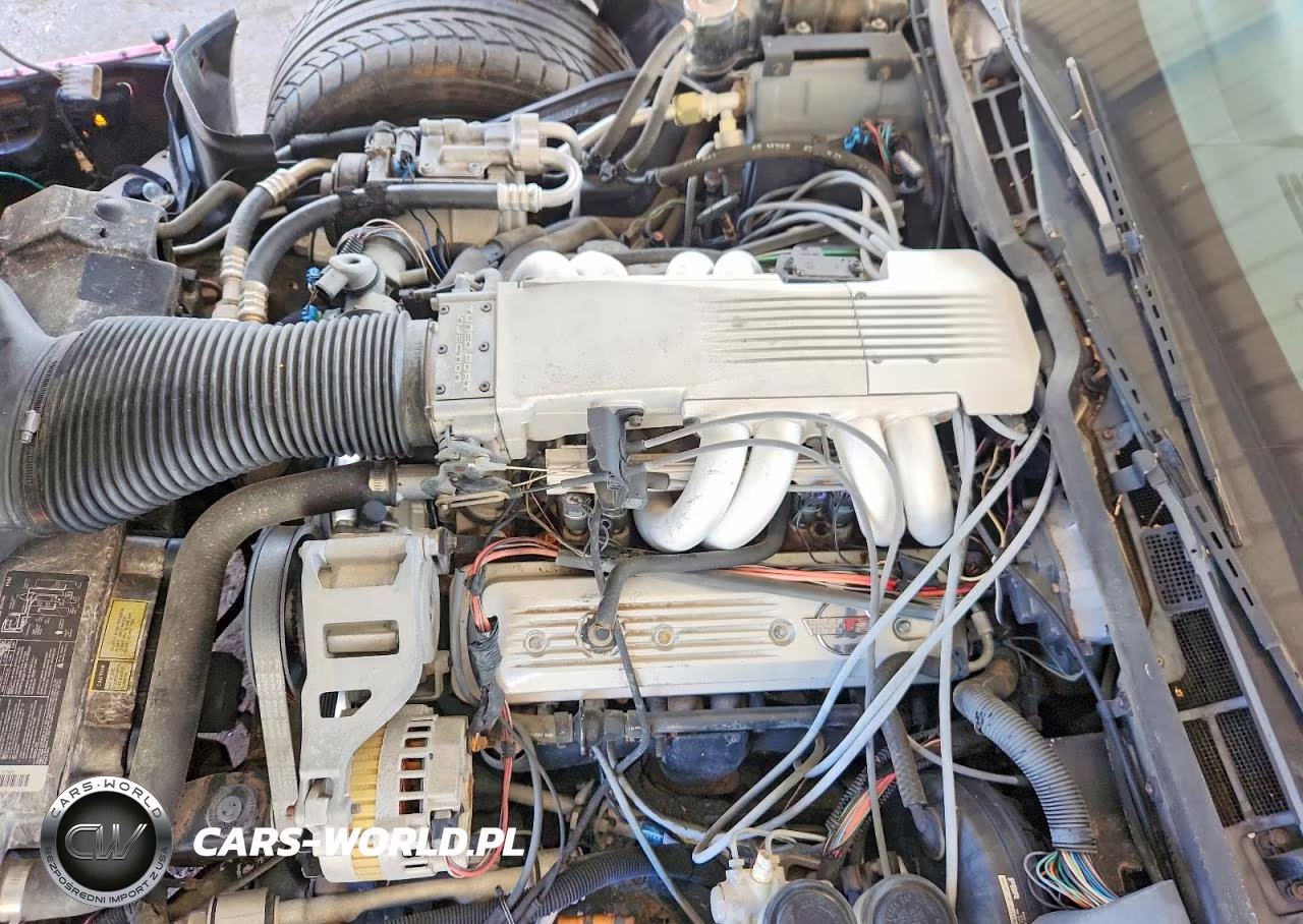 1990 Chevrolet Corvette VIN:1G1YY3384L5108491 - 11