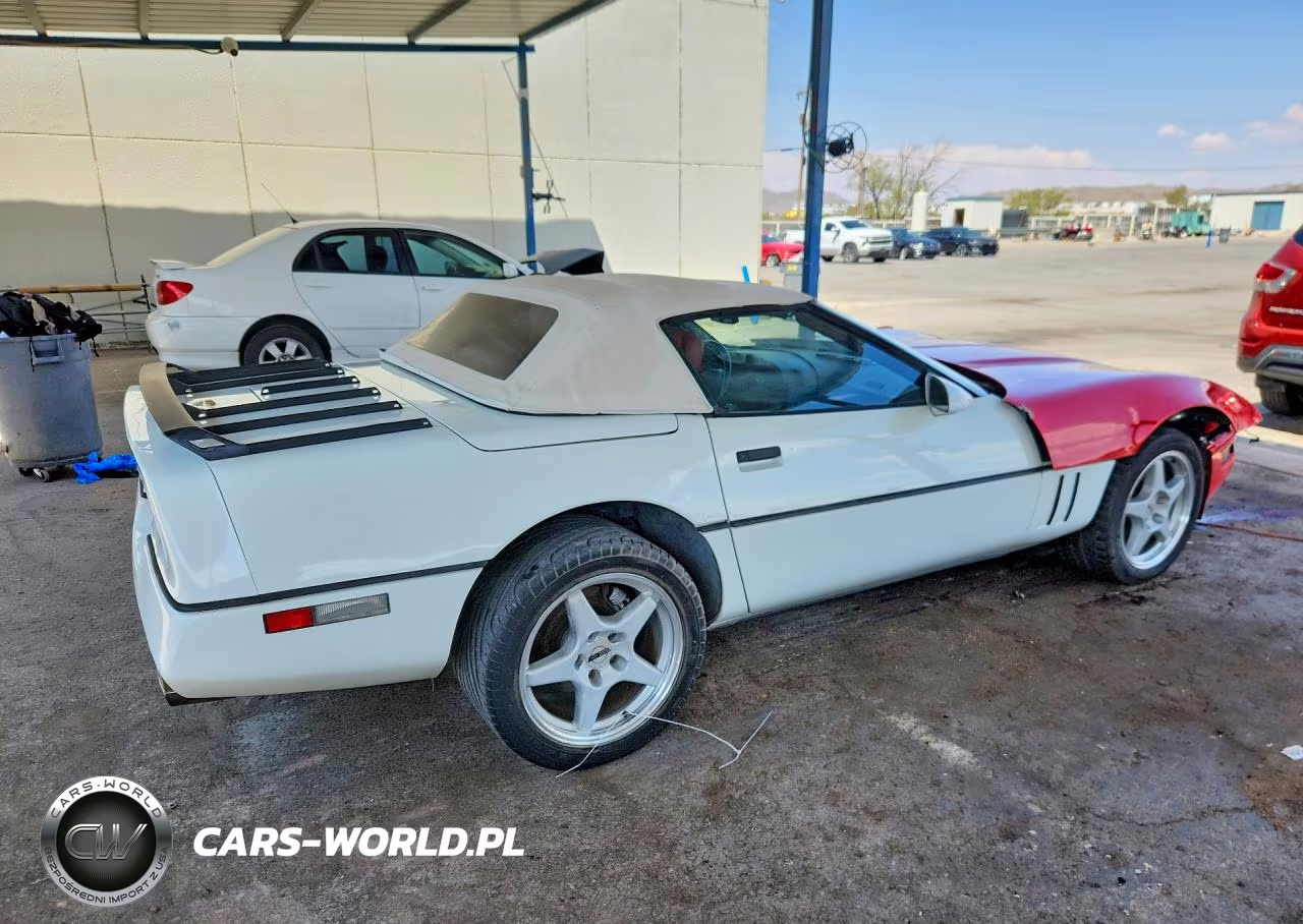 1990 Chevrolet Corvette VIN:1G1YY3384L5108491 - 3