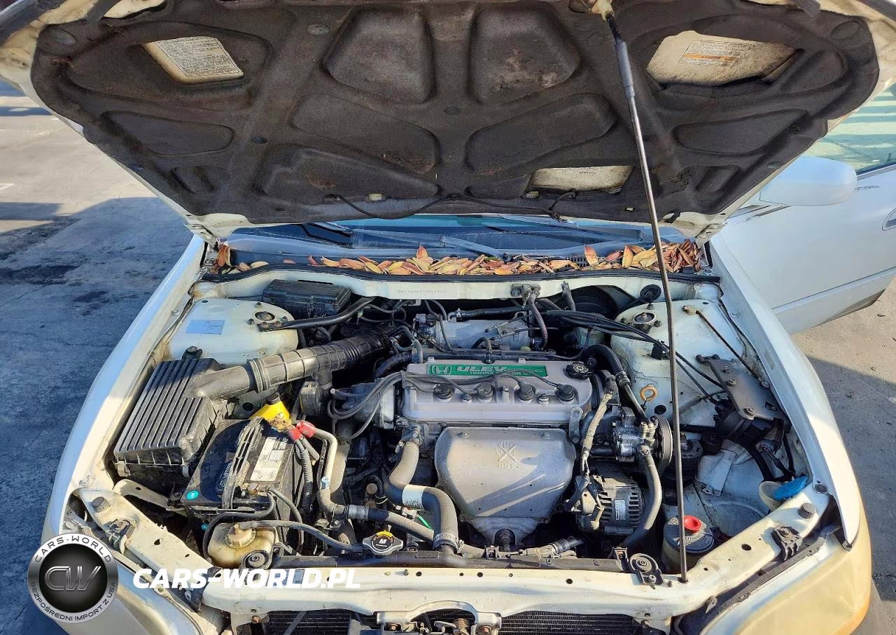 2001 Honda Accord Lx VIN:3HGCG66521G702933 - 11
