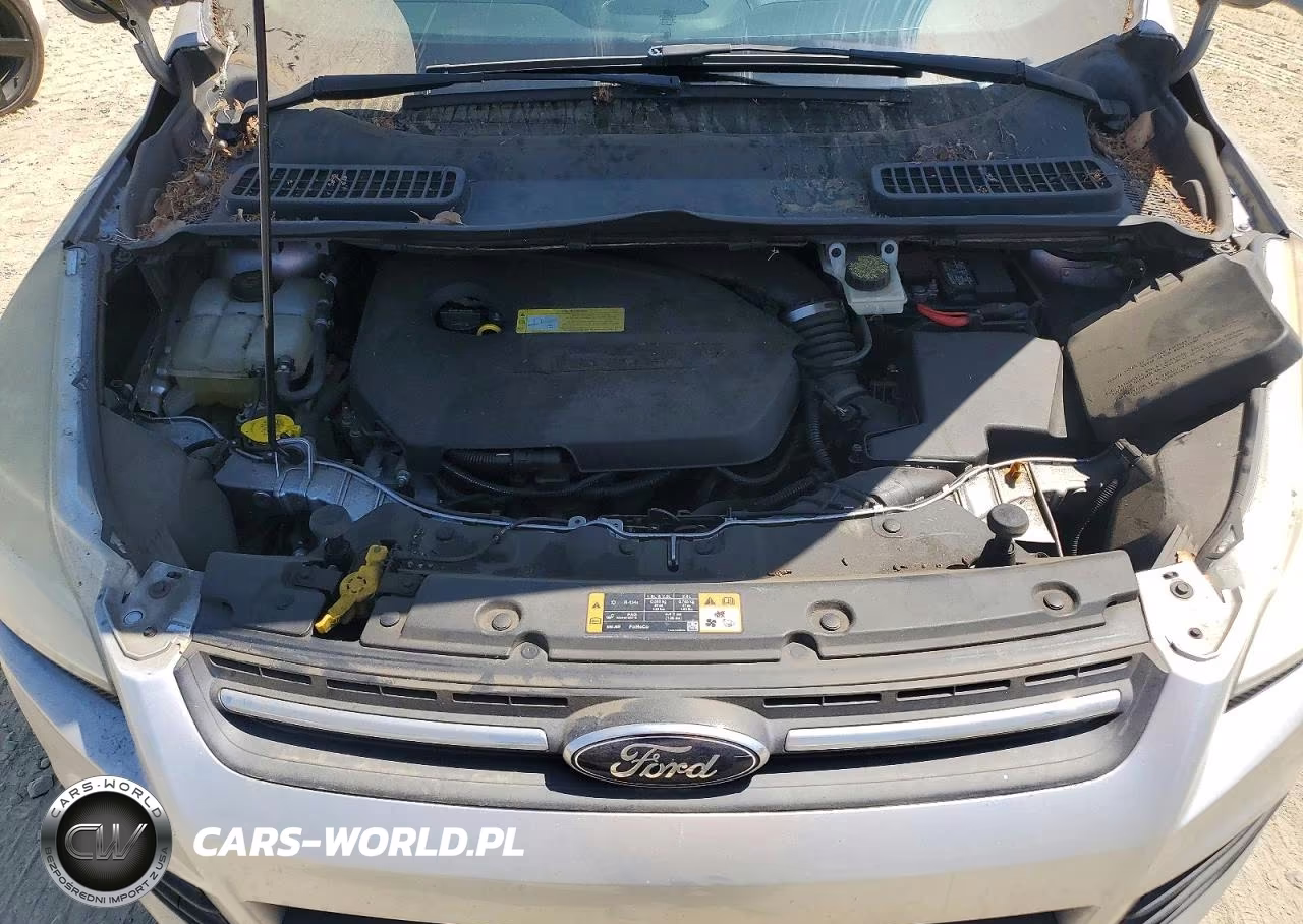 2014 Ford Escape Se VIN:1FMCU0GX3EUA85044 - 12