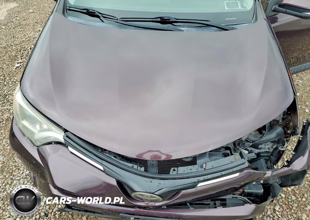2017 Toyota Rav4 Xle VIN:2T3RFREVXHW559769 - 12