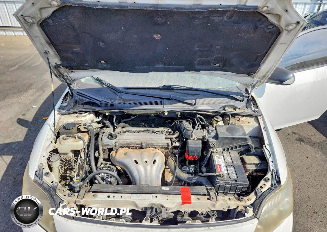 2009 Scion Tc Base VIN:JTKDE167490288608 - 11