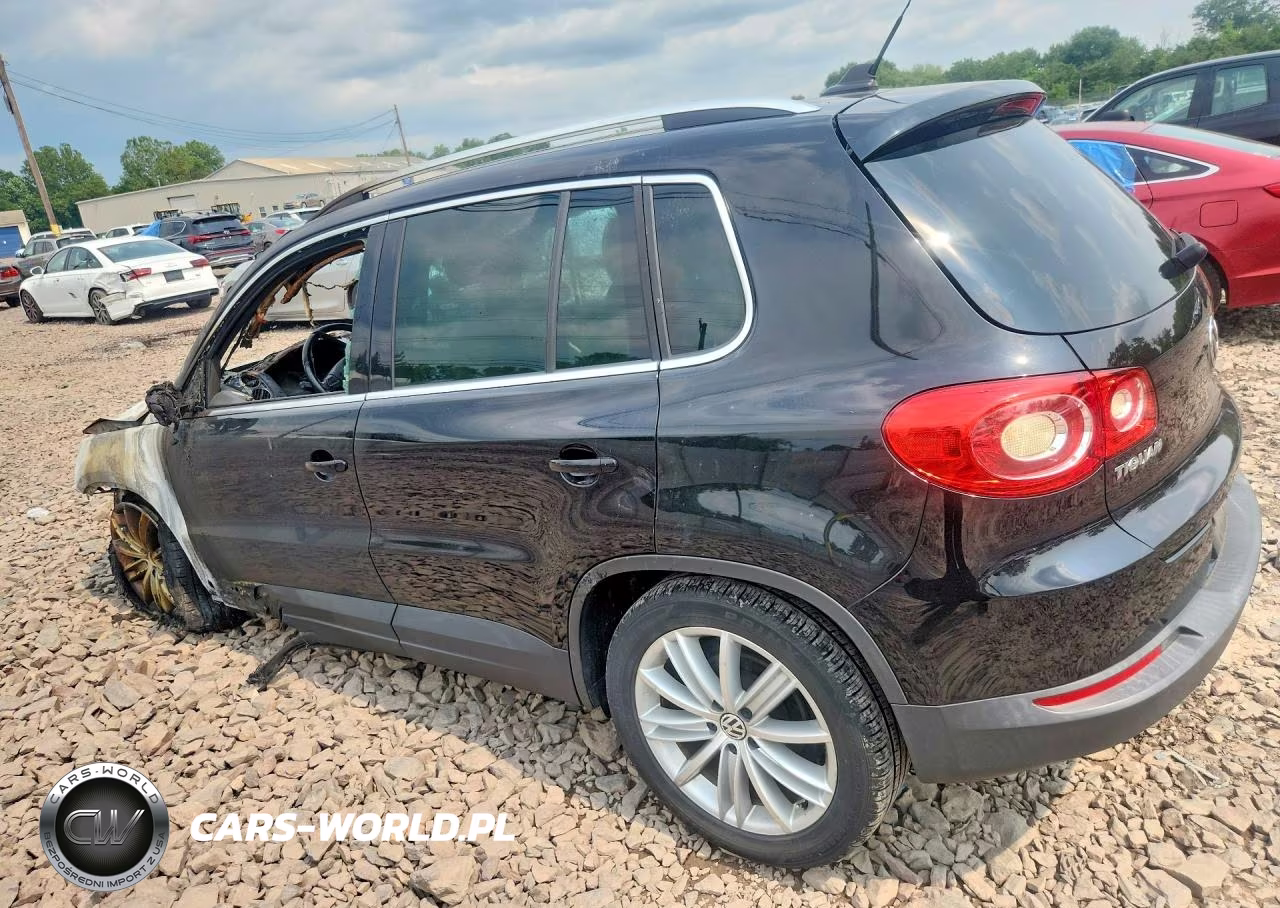2011 Volkswagen Tiguan S VIN:WVGAV7AX7BW515440 - 2