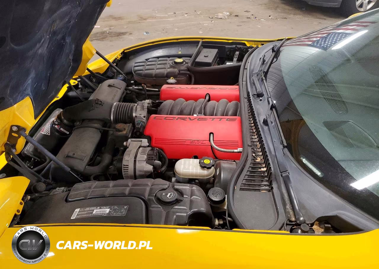 2002 Chevrolet Corvette Z06 VIN:1G1YY12SX25130396 - 11