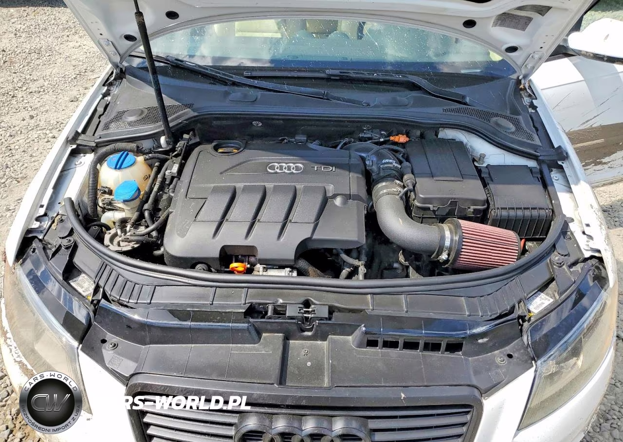 2011 Audi A3 Premium Plus VIN:WAUKJAFM7BA026885 - 12