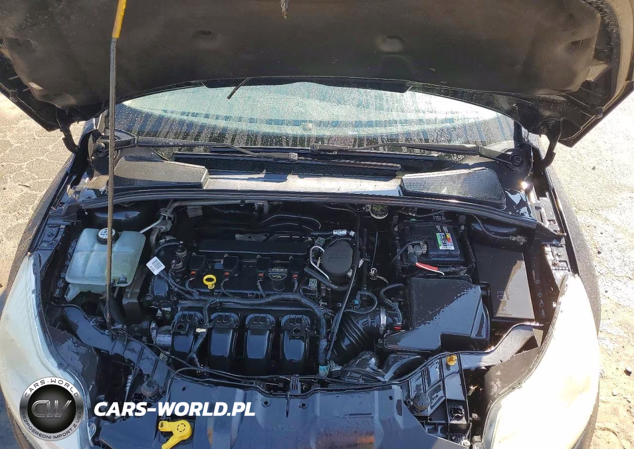 2013 Ford Focus Se VIN:1FADP3F28DL248045 - 11
