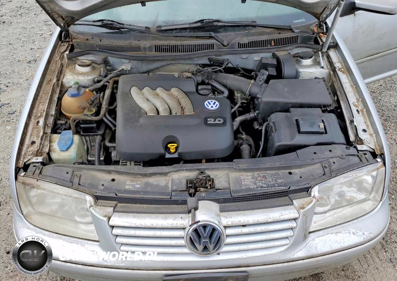 2002 Volkswagen Jetta Gls VIN:3VWSK69M62M194901 - 11