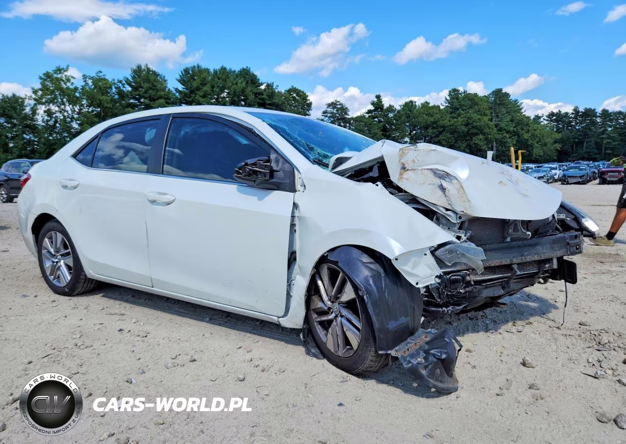 2014 Toyota Corolla Le Eco Plus VIN:5YFBPRHEXEP004529 - 4