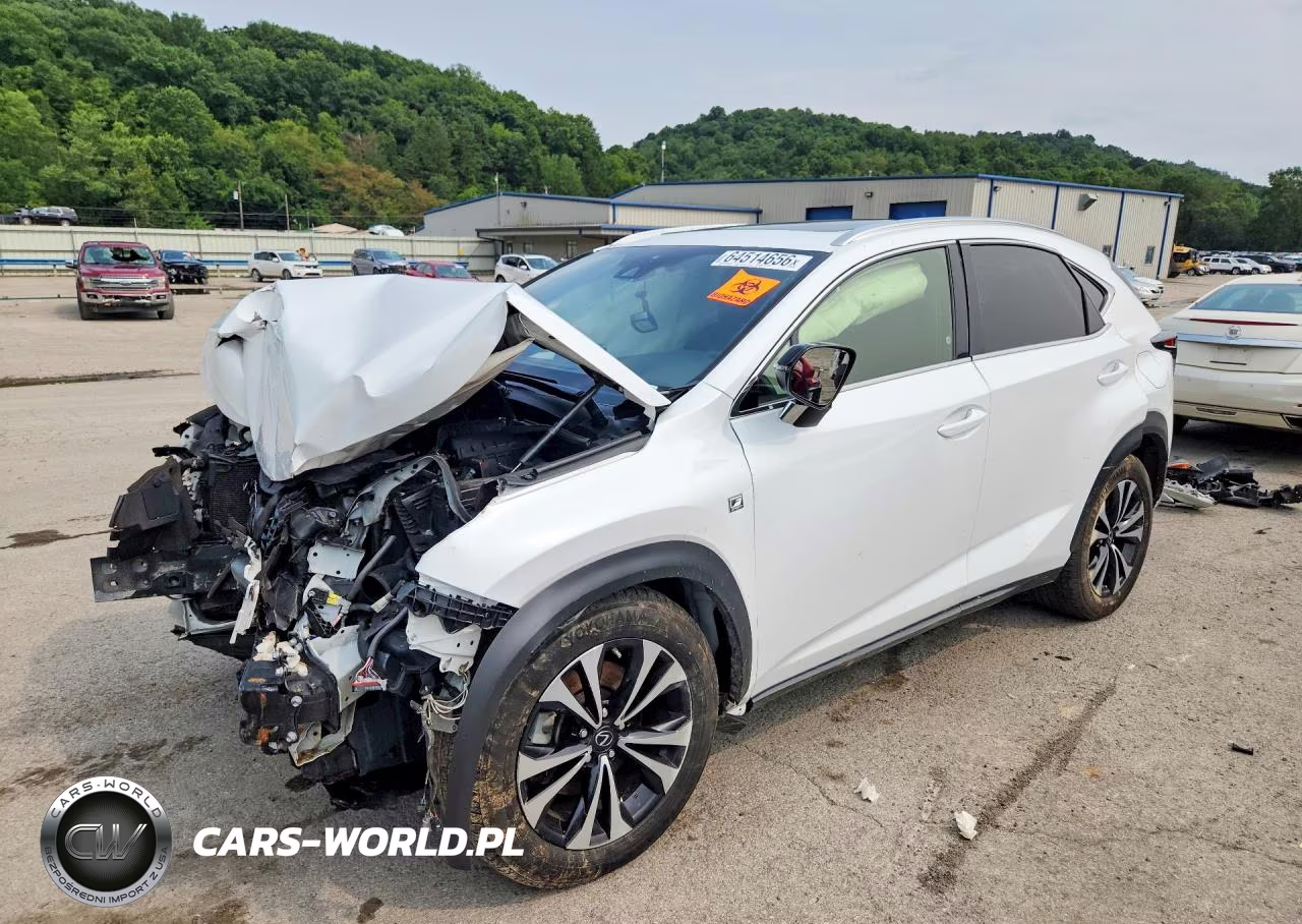 2021 Lexus Nx 300 F Sport
