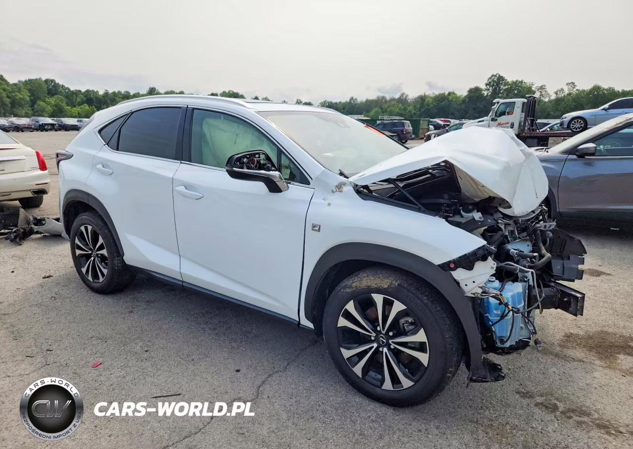 2021 Lexus Nx 300 F Sport VIN:JTJSARDZ6M2236842 - 4